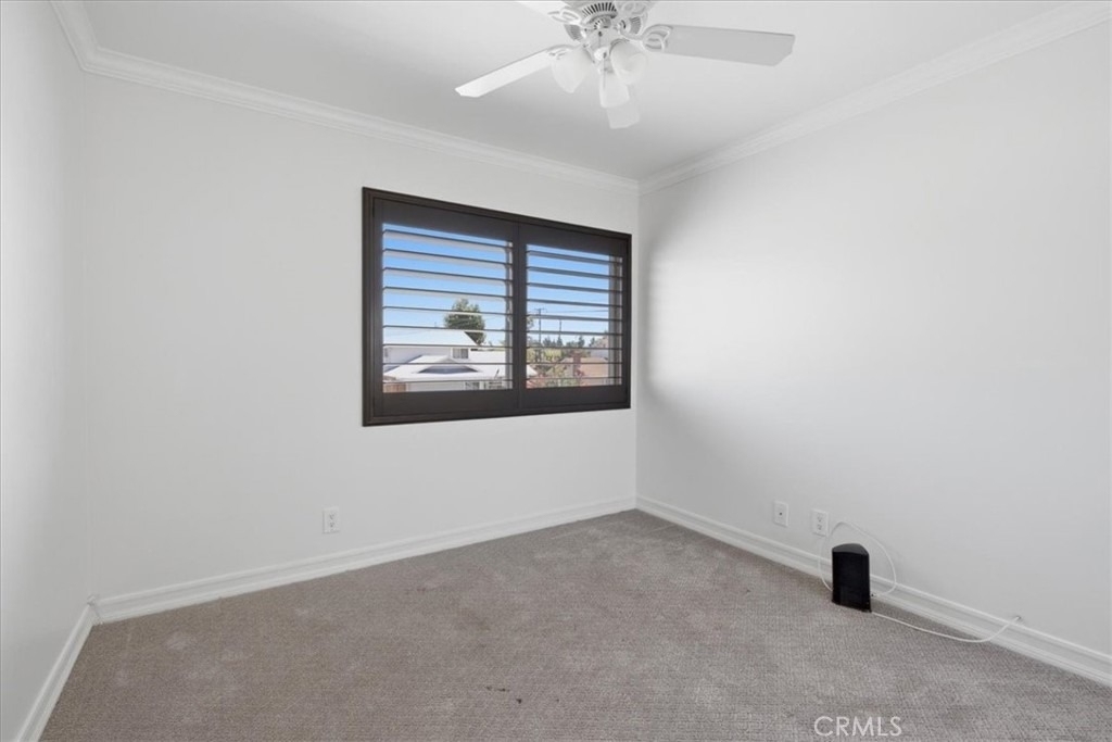 23161 Tulip - Photo 13