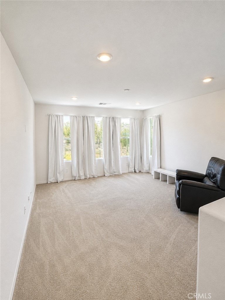 36500 Diego Springs - Photo 8