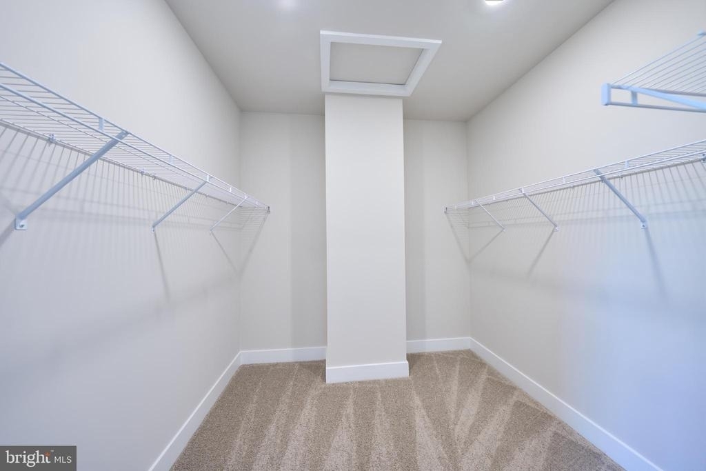 11323 Hypatia Loop - Photo 33