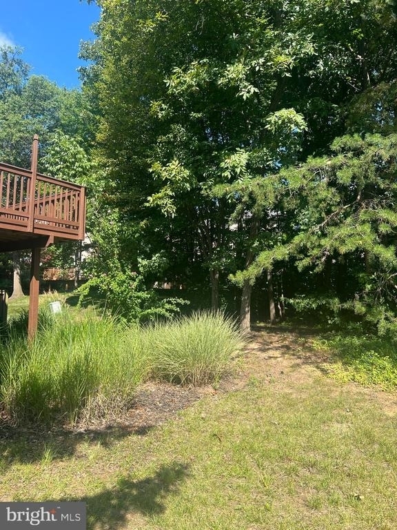 43168 Ivywood Terrace - Photo 3