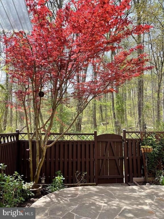 6834 Deer Run Drive - Photo 18