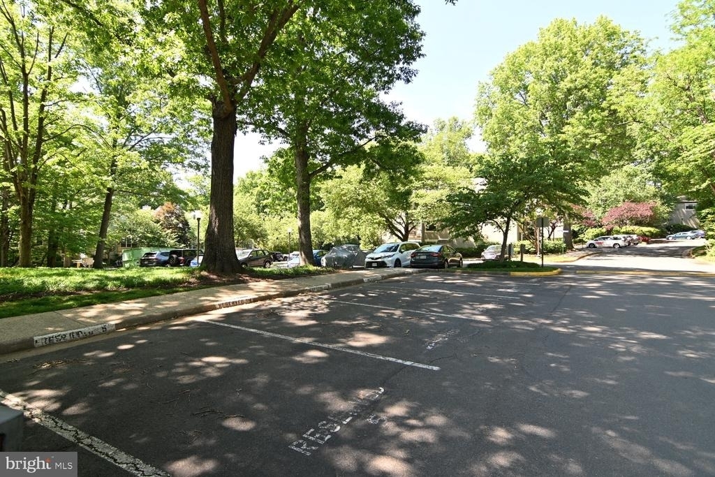 2220 Springwood Drive - Photo 81