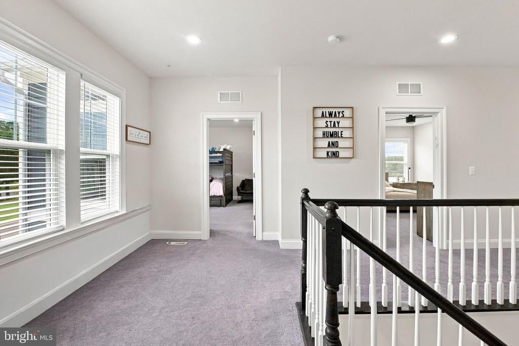 10125 Fast Colors Lane - Photo 46