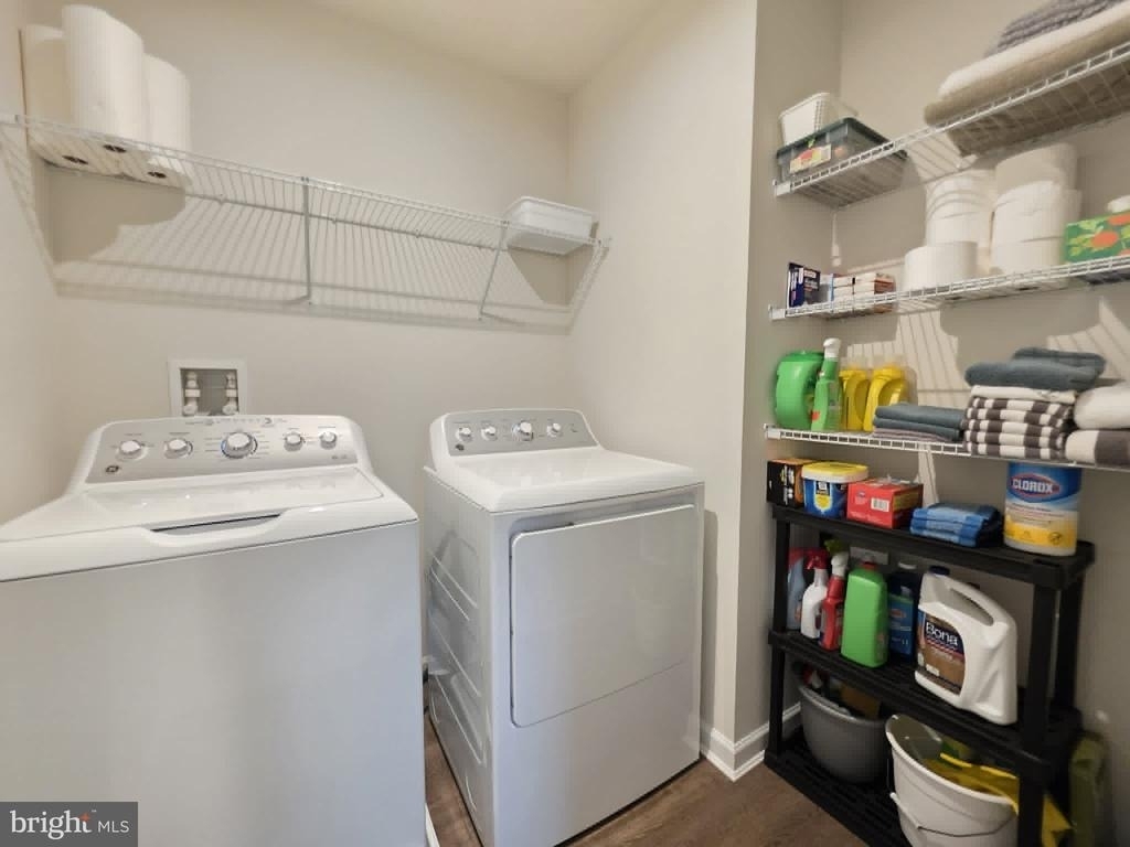 38493 Barberry Street - Photo 39