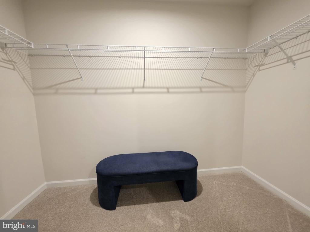 38493 Barberry Street - Photo 37