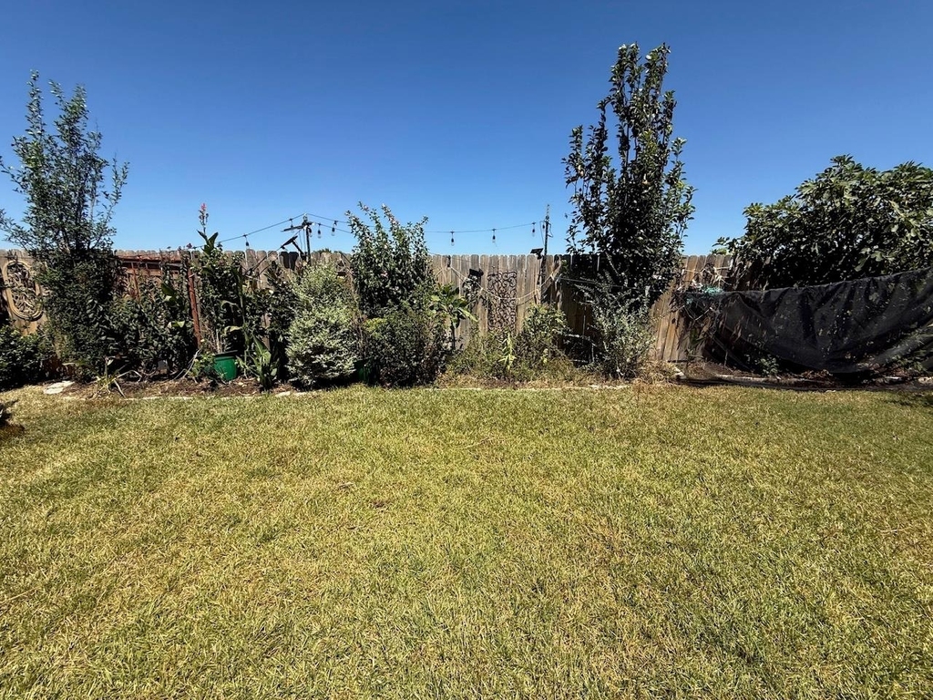 617 Ibis Falls Loop - Photo 5