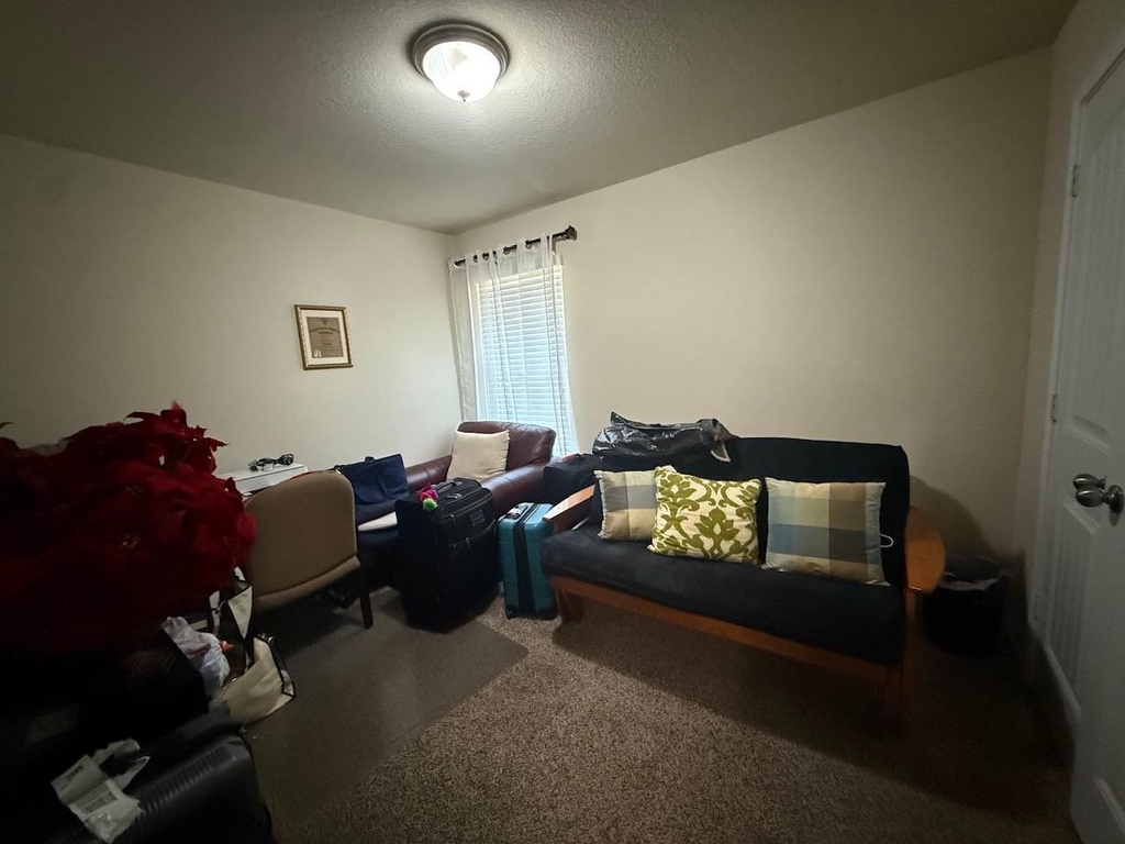 617 Ibis Falls Loop - Photo 14