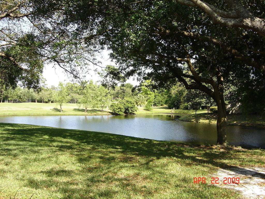 10123 Cross Green Way - Photo 4