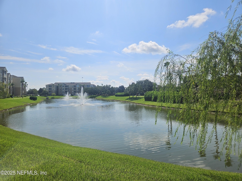 7801 Point Meadows Drive - Photo 3