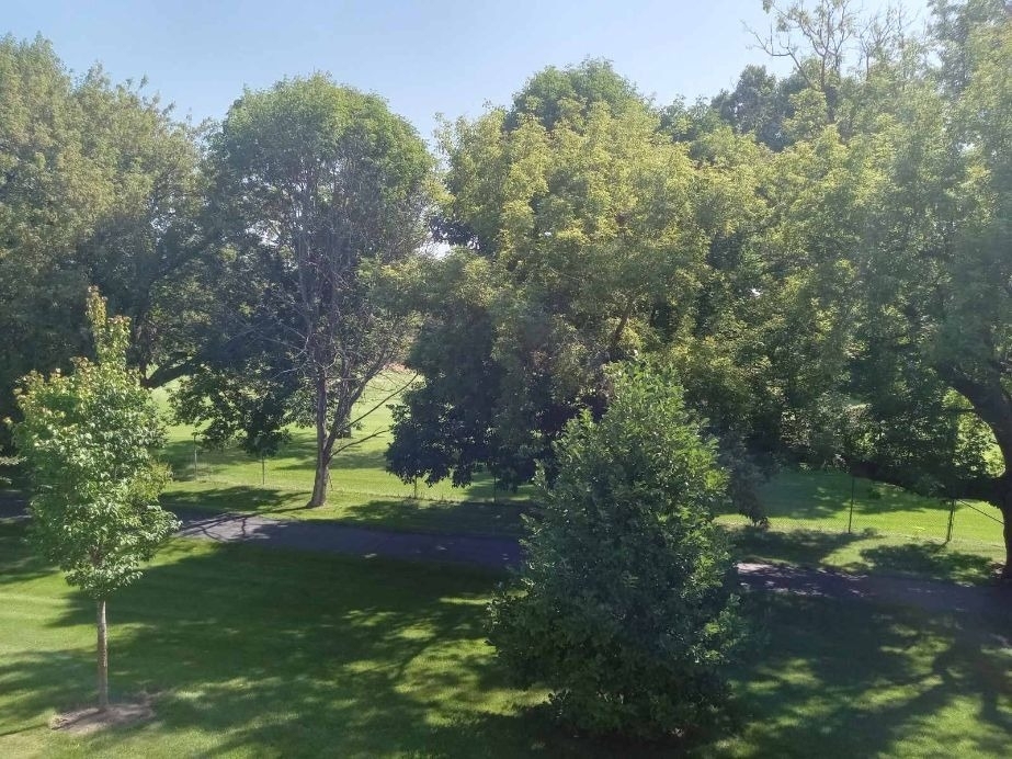 1027 Auburn Lane - Photo 1
