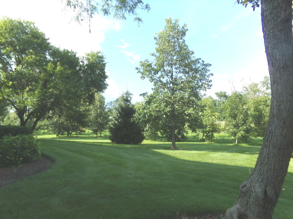 1027 Auburn Lane - Photo 2