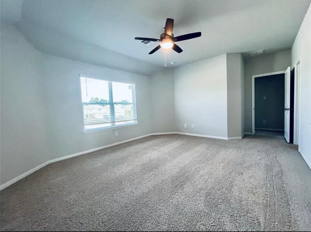 4807 Blue Jacaranda Way - Photo 10
