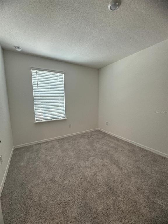10777 Ironwood Tree Way - Photo 10