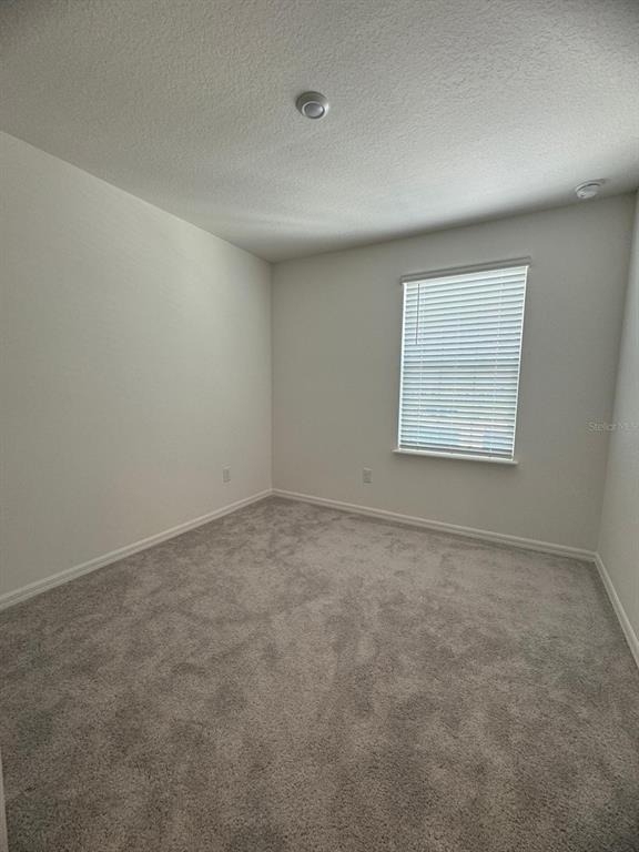 10777 Ironwood Tree Way - Photo 9