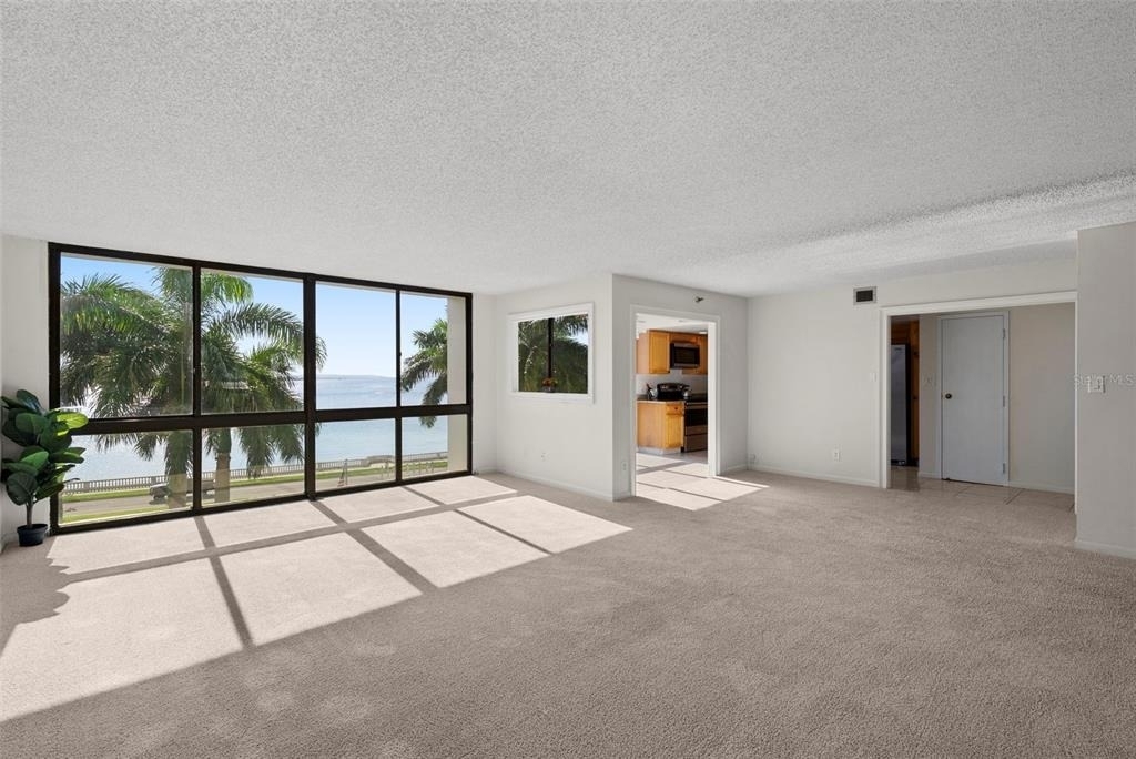 3301 Bayshore Boulevard - Photo 1