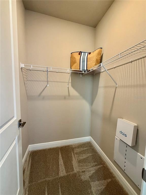 10221 Dulbecco Street - Photo 6