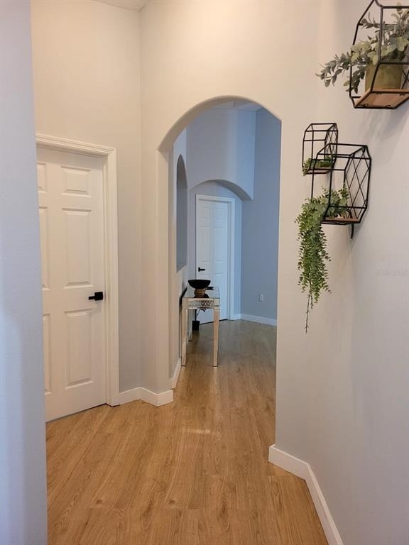 345 China Berry Circle - Photo 8