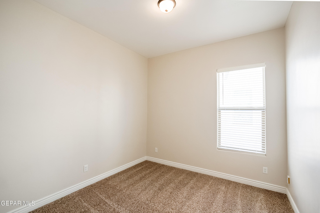 13368 Emerald Glass Drive - Photo 19