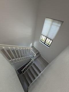 2807 Veronia Drive - Photo 51