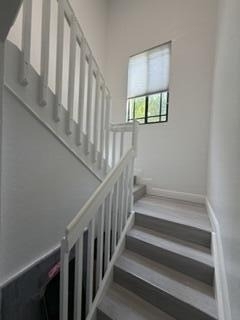 2807 Veronia Drive - Photo 52