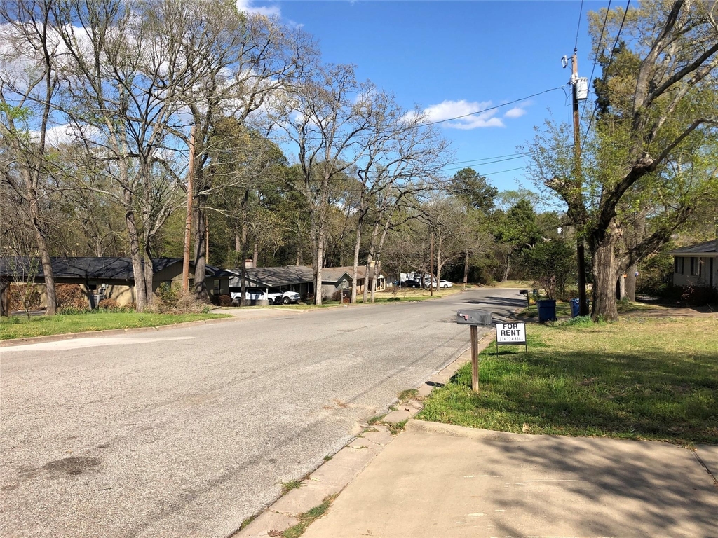 507 Colonial Drive - Photo 2