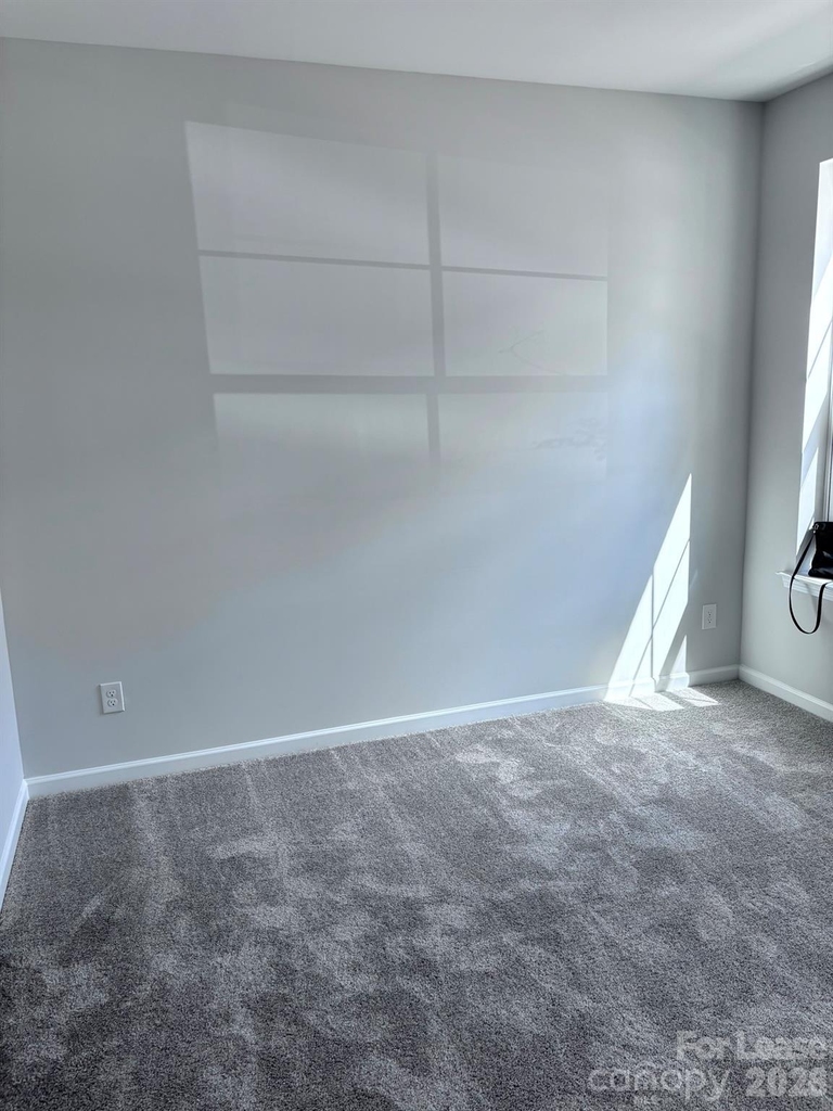 4310 Reed Creek Drive - Photo 12