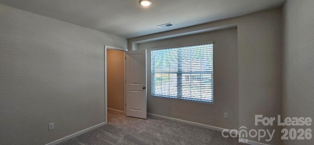 1615 Cannonball Lane - Photo 20