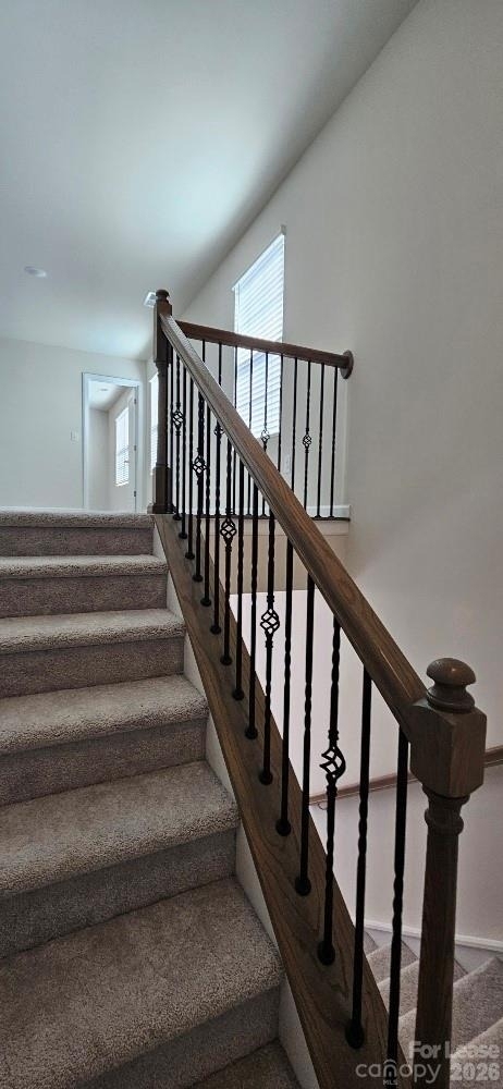 1615 Cannonball Lane - Photo 10