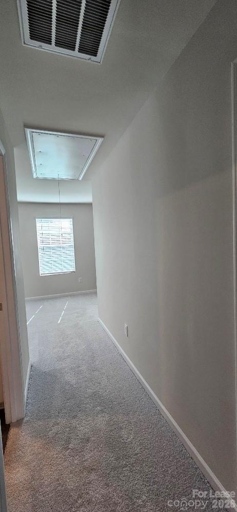 1615 Cannonball Lane - Photo 22