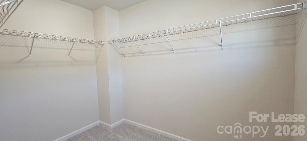 1615 Cannonball Lane - Photo 19