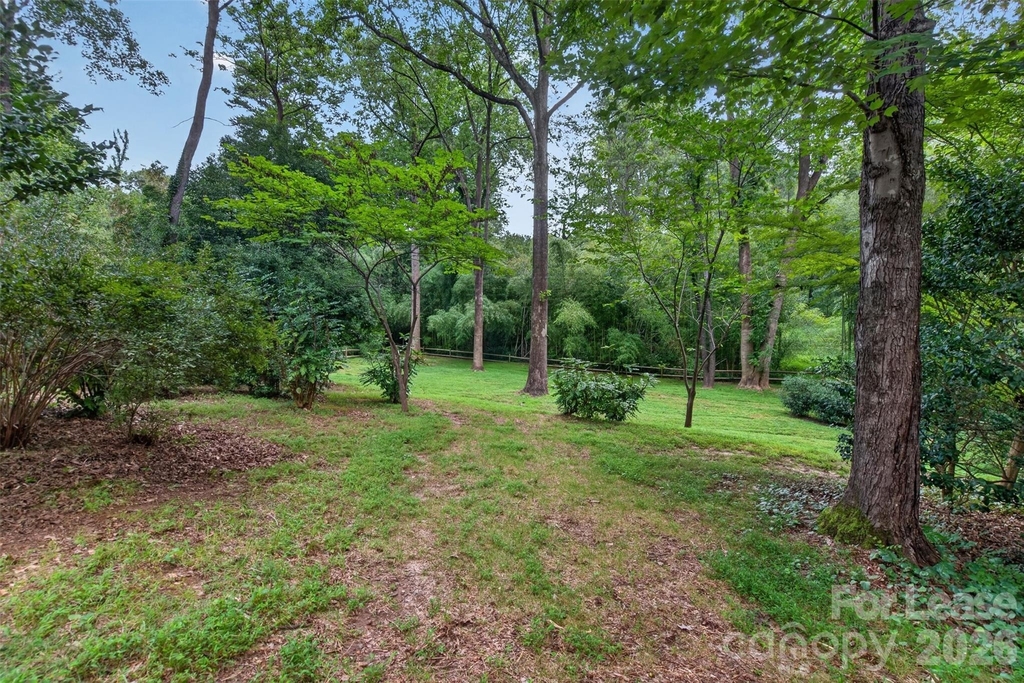 113 Forest Lane - Photo 22