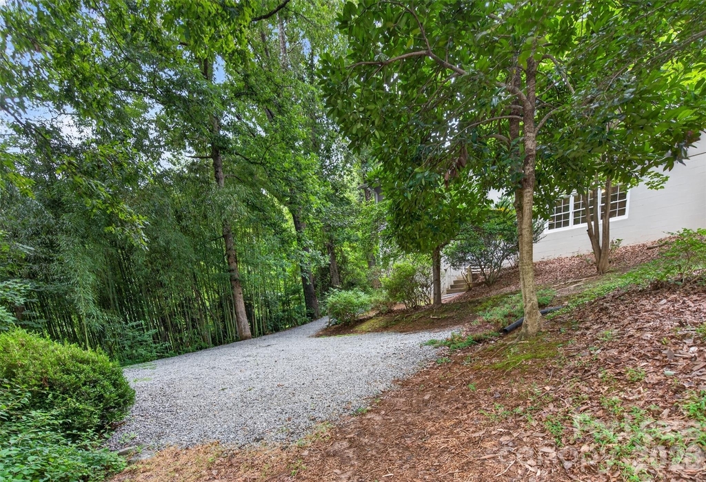 113 Forest Lane - Photo 21