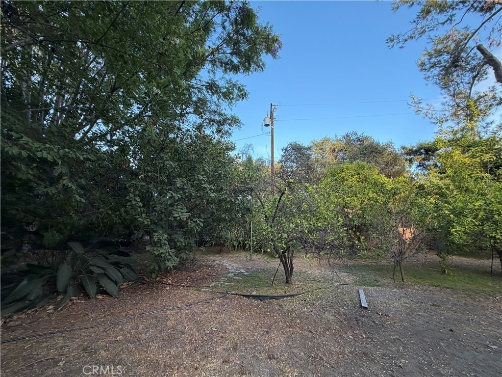 28 W Sycamore Avenue - Photo 30