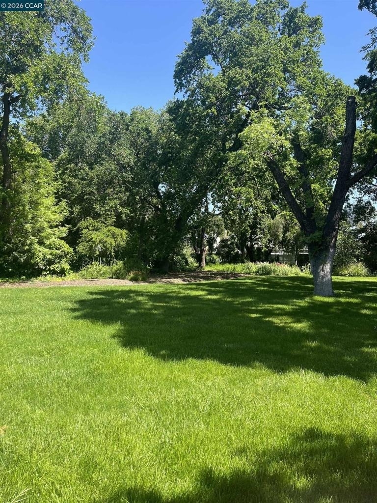 930 Lee Lane - Photo 2