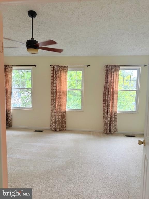 3758 Mazewood Lane - Photo 16