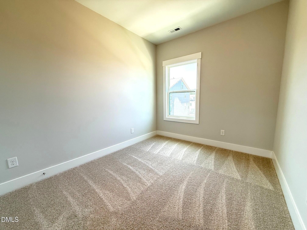776 Ballyneal Alley - Photo 33