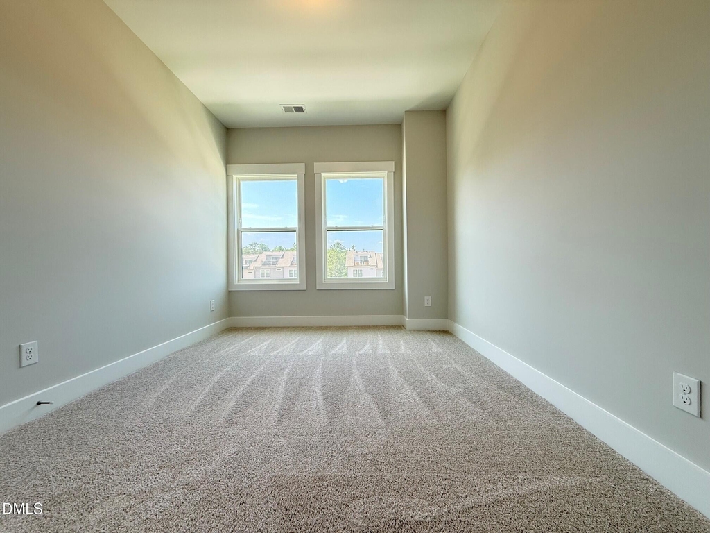 776 Ballyneal Alley - Photo 29