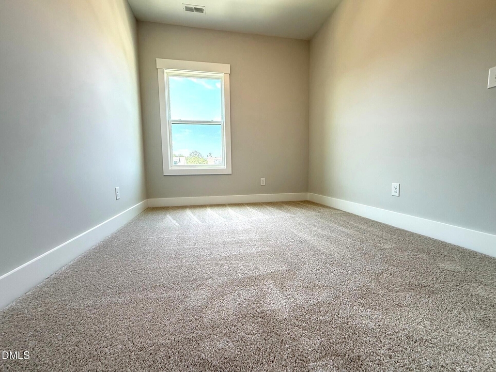 776 Ballyneal Alley - Photo 34