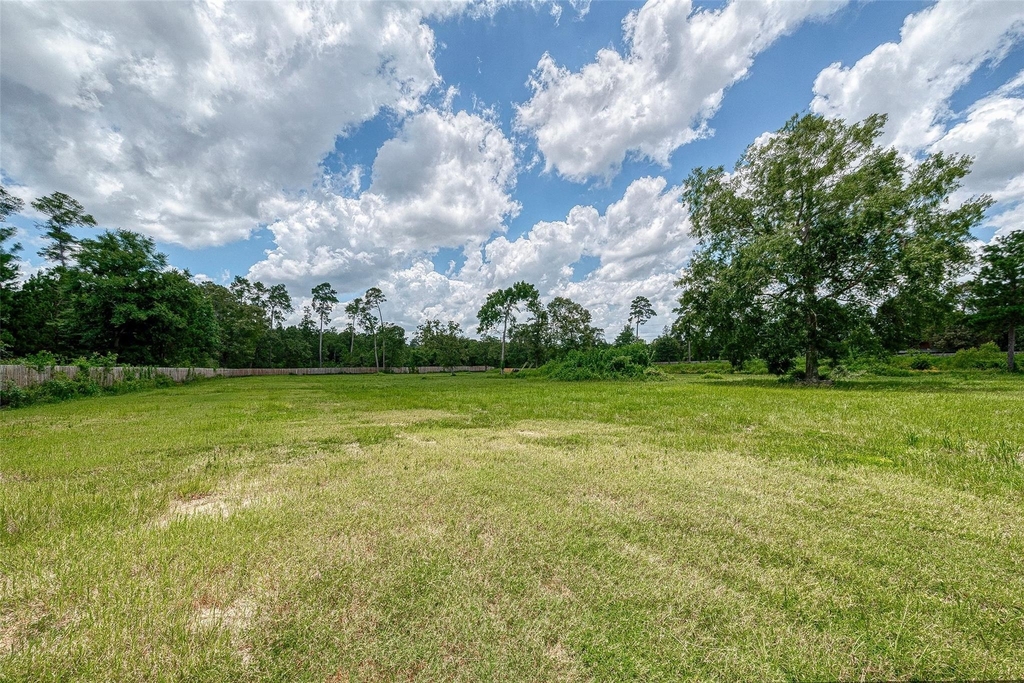 24313 Fm 1488 Road - Photo 15