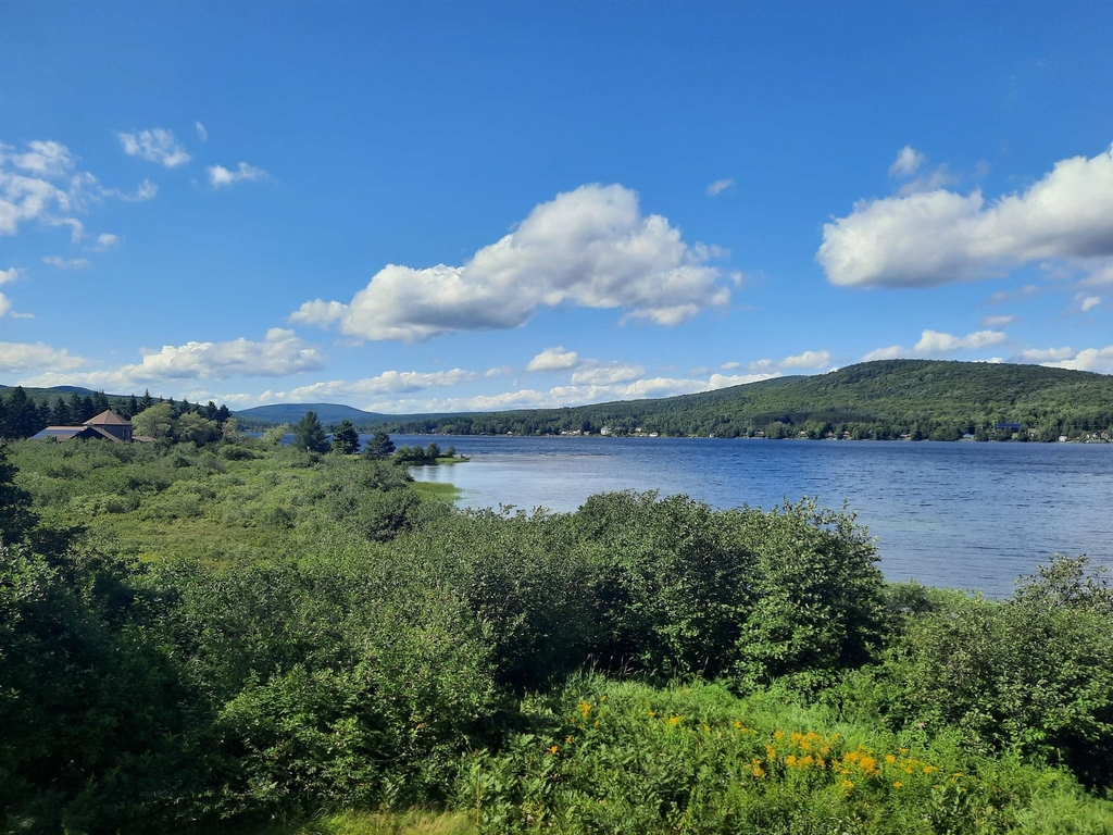 66 Lake Access - Photo 0
