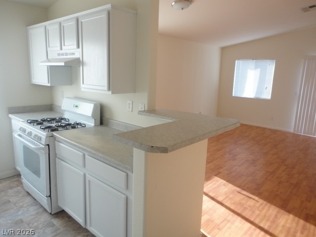 4014 Dripping Springs Avenue - Photo 7