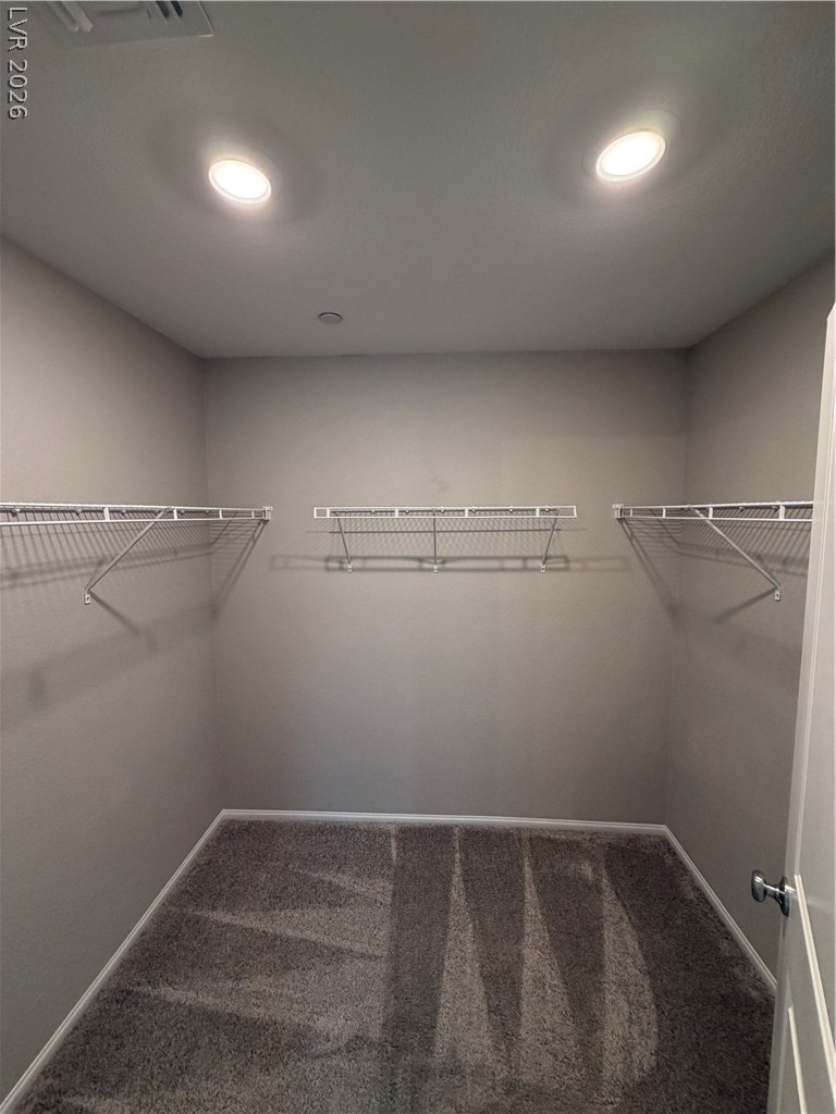 916 Riggs Flats Avenue - Photo 21