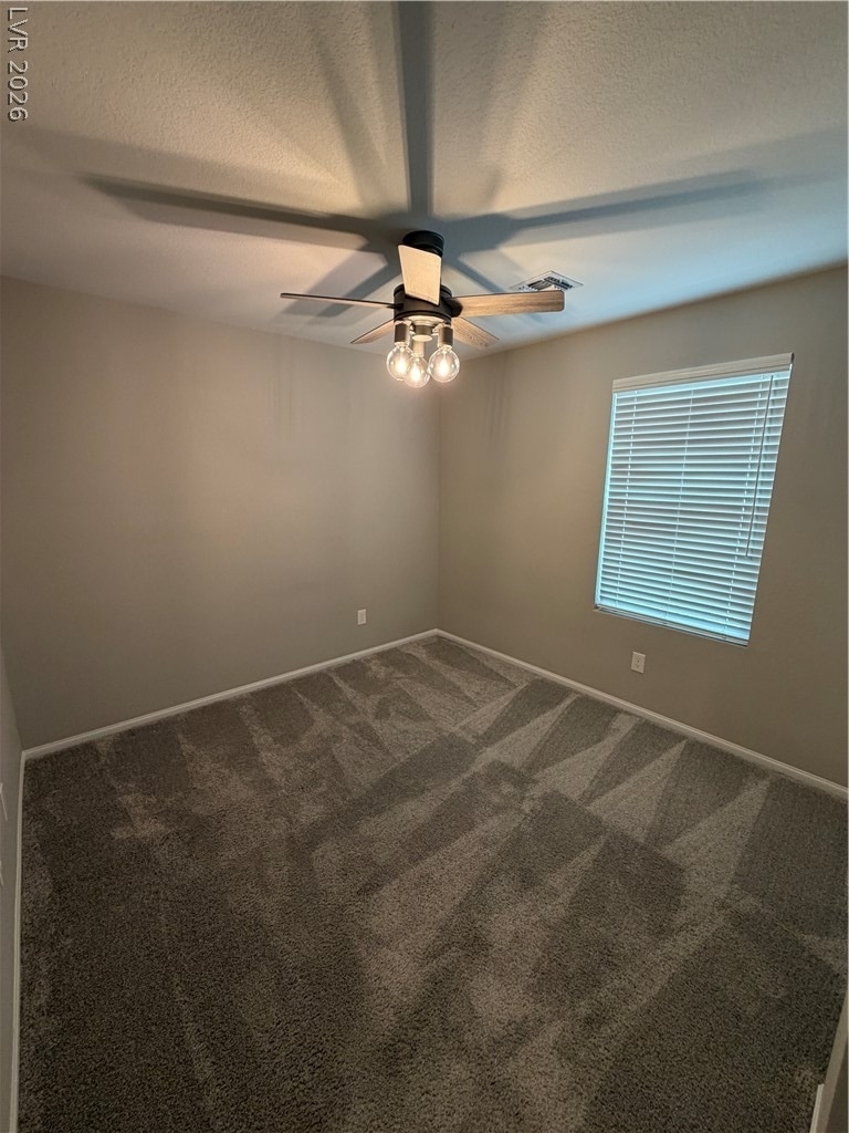 916 Riggs Flats Avenue - Photo 29