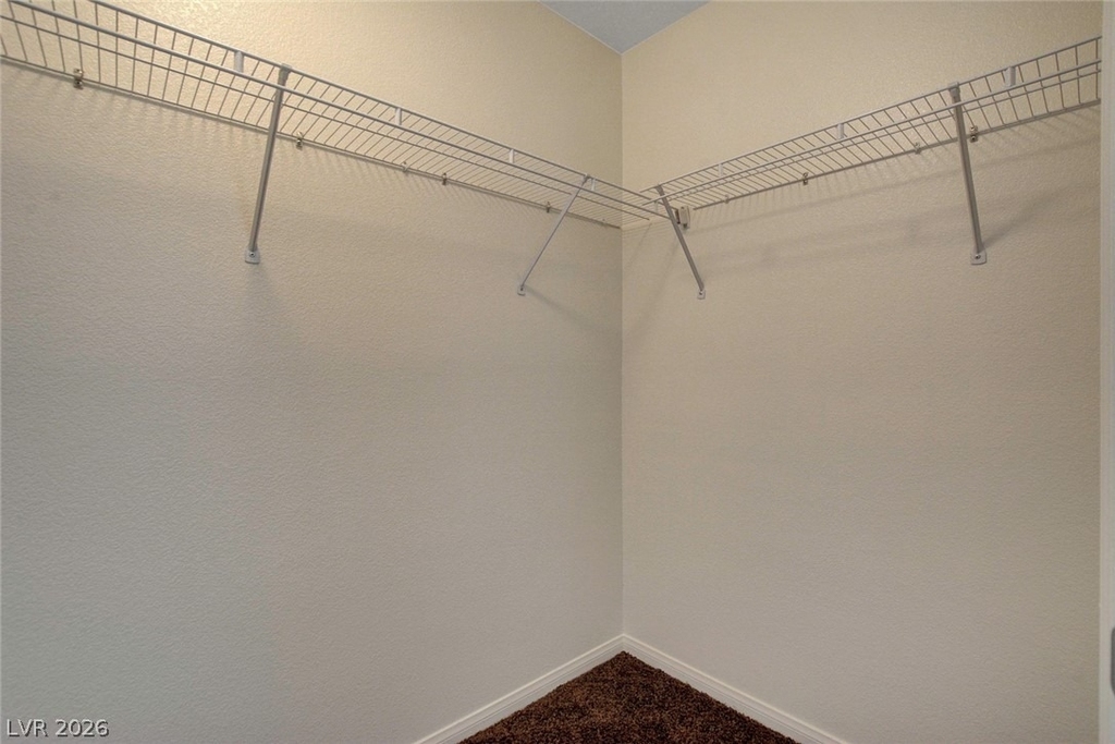10254 Ladybug Bend Street - Photo 31
