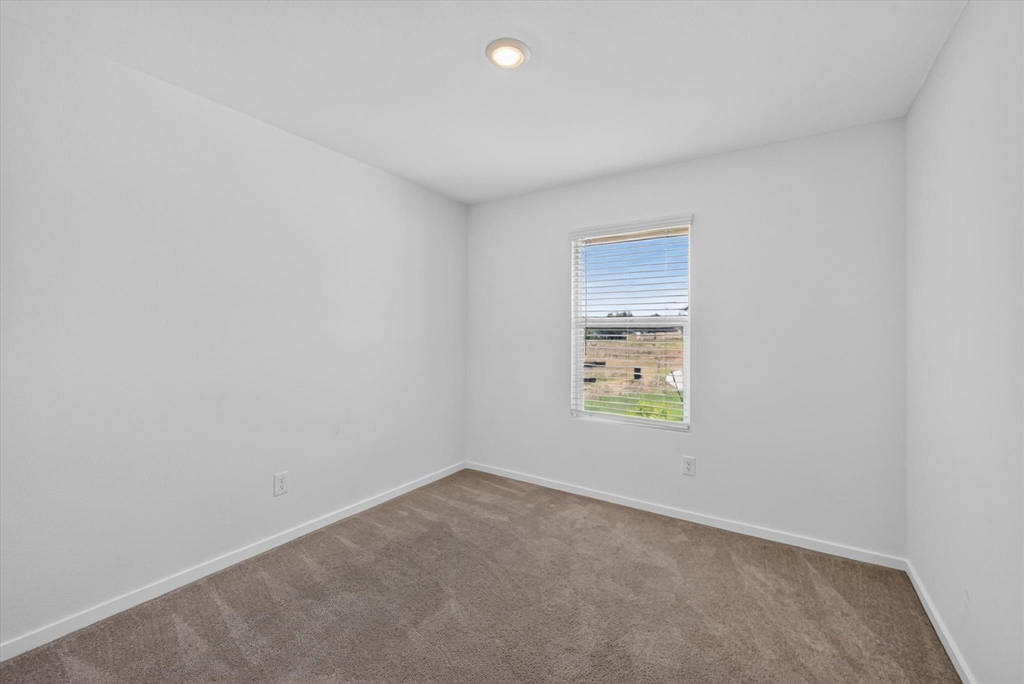 11033 Triple Crown Street - Photo 3
