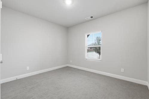 1213 Birchwood Lane - Photo 9