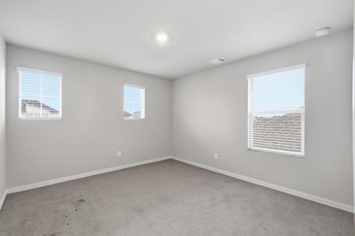 1213 Birchwood Lane - Photo 20