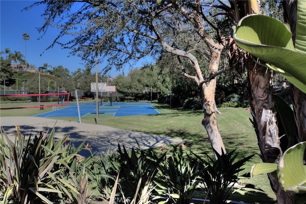 28511 Rancho Grande - Photo 42