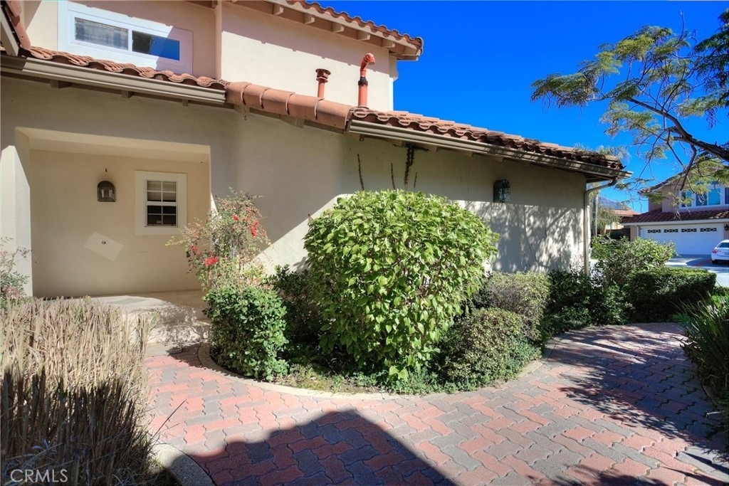 28511 Rancho Grande - Photo 2
