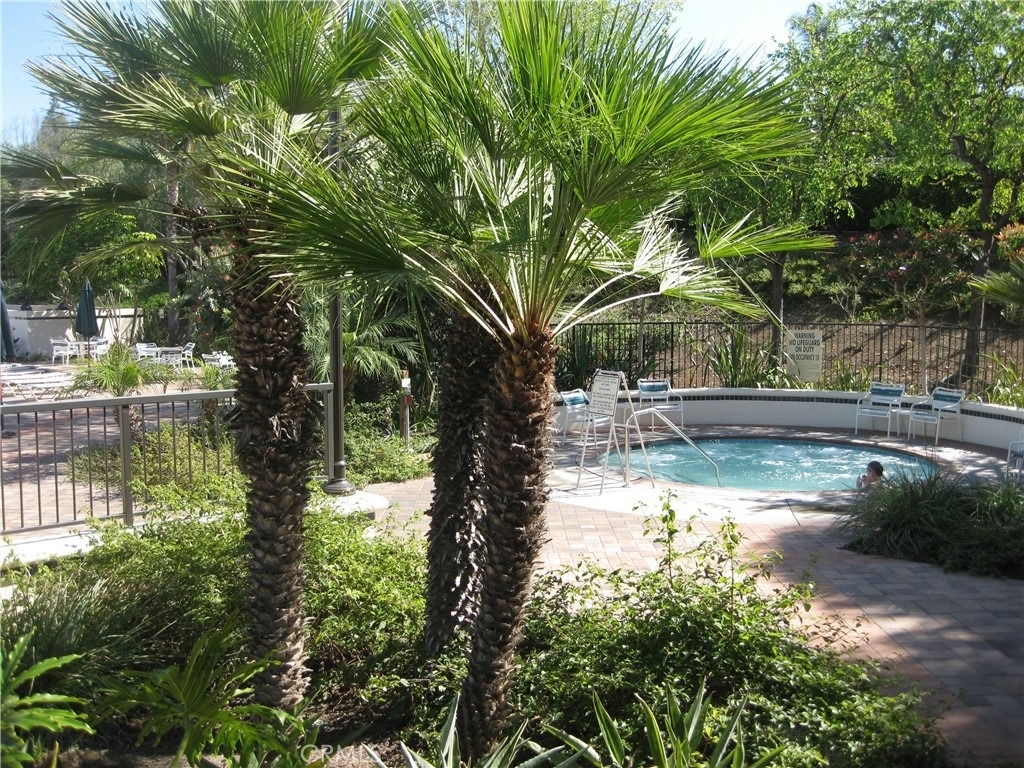 28511 Rancho Grande - Photo 41